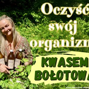Zestaw Kwas Bołotowa (3 x 1L )