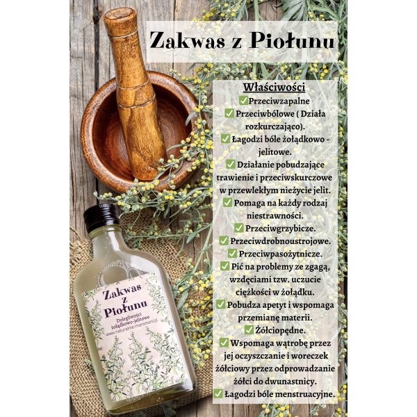 Zakwas z Piołunu - Na dolegliwości Żołądkowo-Jelitowe. 200ml - obrazek 2